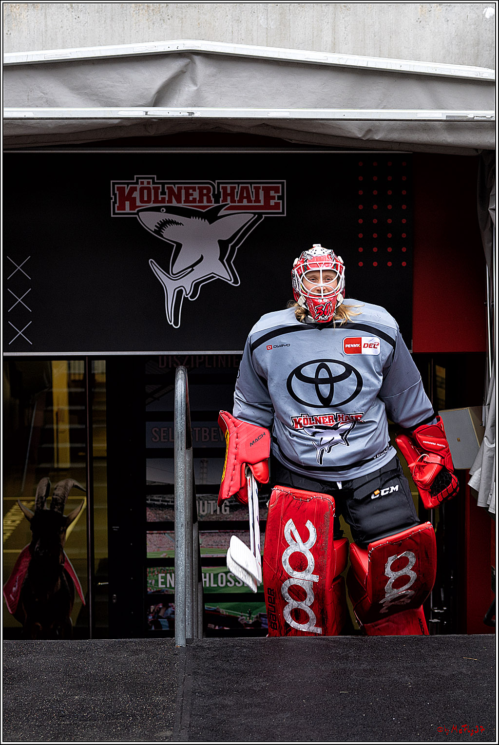 PENNY DEL WINTERGAME;  Kölner Haie Training; Köln, 02.12.2022
